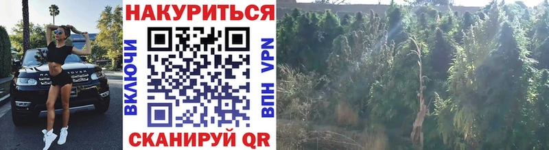 Бошки марихуана AK-47  Пролетарск 